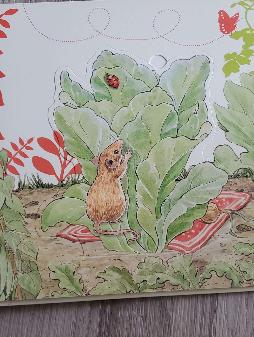 Peter Rabbit Board Book Bundle - Beatrix Potter - Picture 11 of 16
